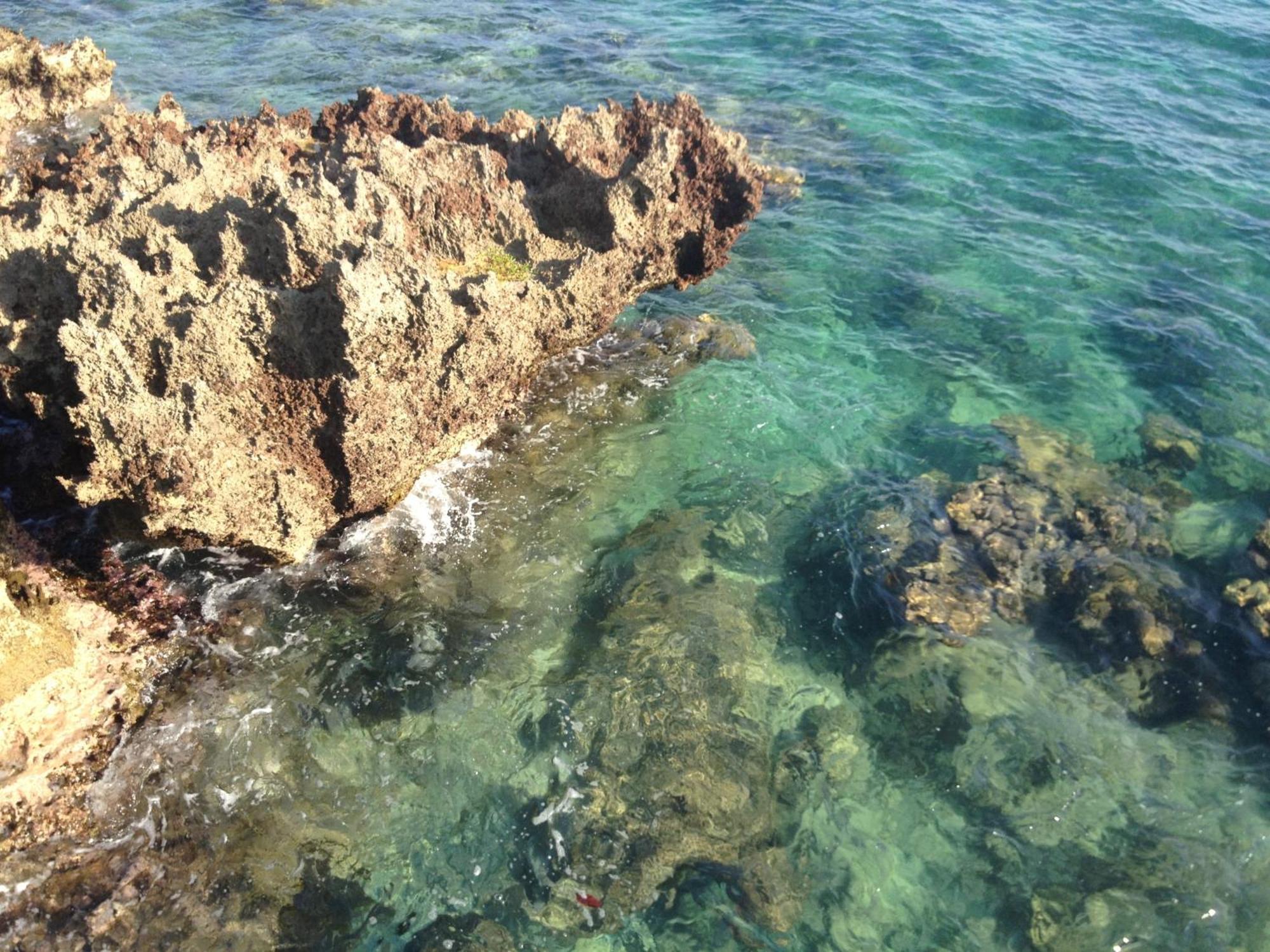 Media Luna Resort & Spa Second Bight Dış mekan fotoğraf